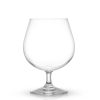 JoyJolt Cask Brandy Glass | WhisNew & Dof Glasses